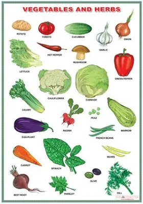 Fruit/Vegetables and herbs (DUO)