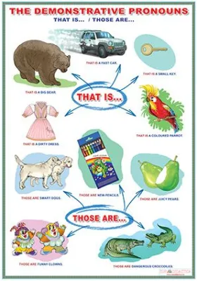 The use of the indefinite article/The demonstrative pronouns (DUO)