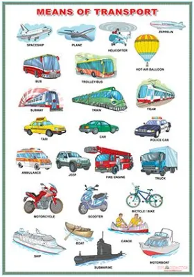 Means of transport/My schoolbag (DUO)
