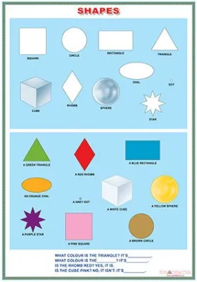Shapes