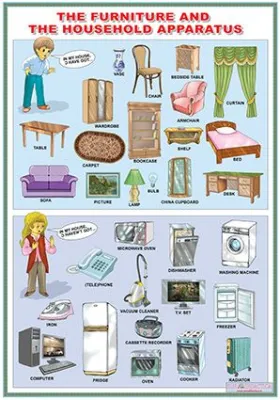The furniture and the household apparatus/Word order (DUO)