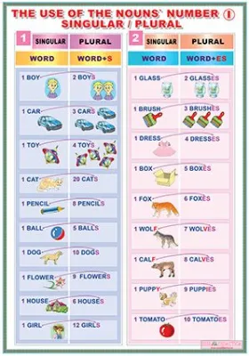 The use of a nouns'number singular-plural I  /The use of a nouns'number singular-plural II (DUO)