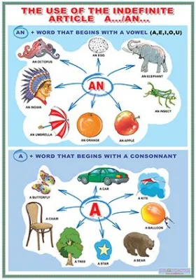 The use of indefinite article/ Accessories (DUO)