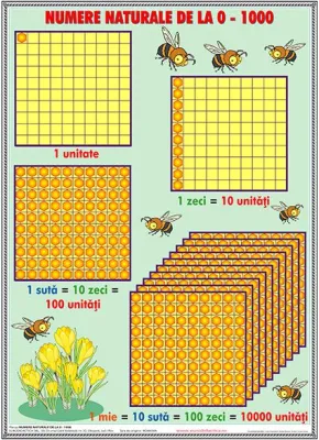 Numere naturale de la 0 -1000