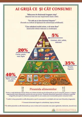 Ai grija ce si cum consumi. Piramida alimentelor (plansa laminata, 700x1000mm, cu sipci)