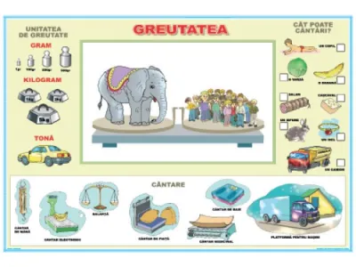 Greutatea / Înălţimea şi adâncimea (DUO)