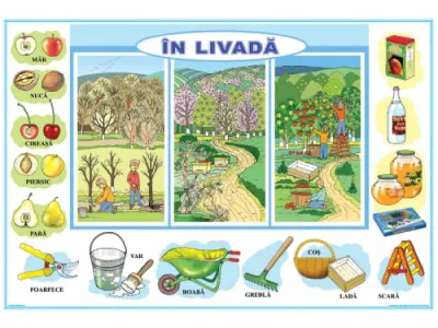 În livadă / La zoo
