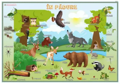 În pădure/Locuinţe