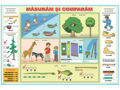 Măsurăm şi comparăm / Instrumente de măsurare (DUO)