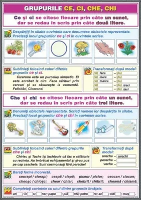 Ortografierea grupurilor: chi /ci şi che/ce \ Adjectivul (DUO)