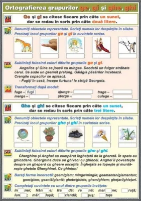 Ortografierea grupurilor: ghe/ ge şi ghi/ gi \ Substantivul  (DUO) 
