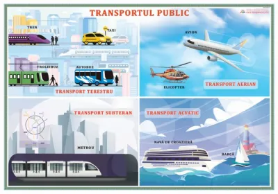 Transportul public / Pericolele străzii (DUO)
