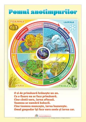 Set imagini pentru dezvoltarea vorbirii (10 planse, A3)