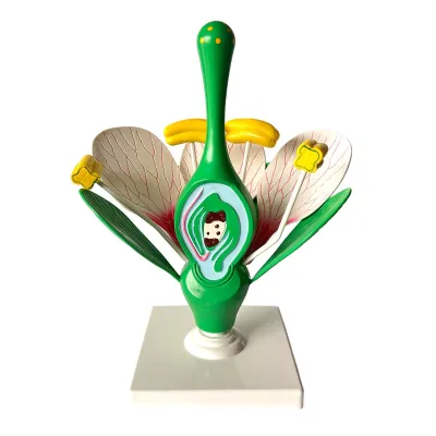 Model Floare de cires