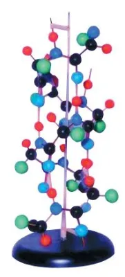 MULAJ STRUCTURA PROTEINEI SECUNDARE