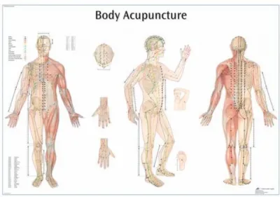 Plansa MERIDIANELE SI PUNCTELE ACUPUNCTURII PE CORPUL UMAN