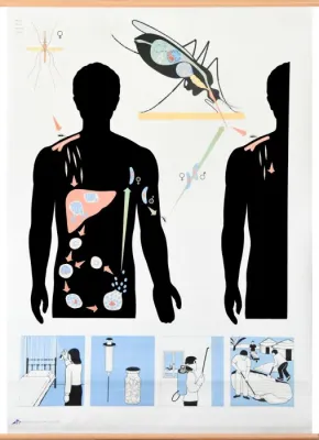 Plansa Malaria 84x 120 cm