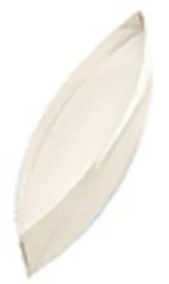 Lentila biconvexa