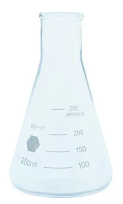 Pahar Erlenmayer 250 ml