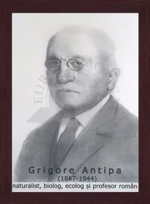 PORTRET- GRIGORE ANTIPA