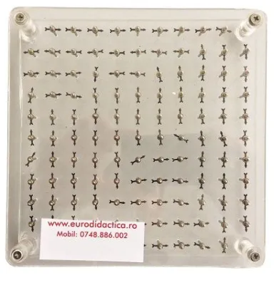 Tabla pentru vizualizarea liniilor de camp magnetic