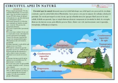 Circuitul apei in natura (plansa, 1000x700 mm, cu sipci)