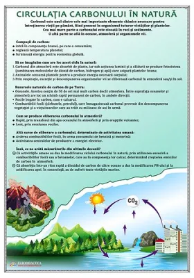 Circuitul carbonului in natura (plansa, 1000x700mm, cu sipci)