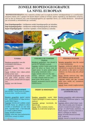 Zonele biopedogeografice la nivel european (planşă, 700x1000mm, cu şipci)
