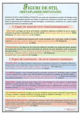Figuri de stil. Metaplasme si metataxe(plansa, 700x1000mm, cu sipci)