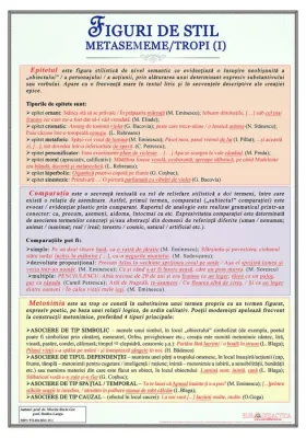 Figuri de stil. Metasememe I (plansa, 700x1000mm, cu sipci)