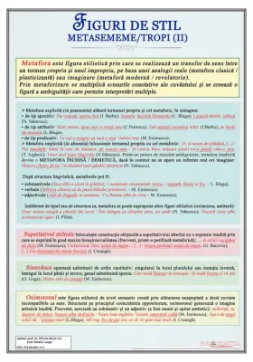 Figuri de stil. Metasememe II (plansa,700x1000mm, cu sipci)