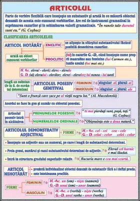 PLANSA ARTICOLUL /PREDICATUL (DUO)