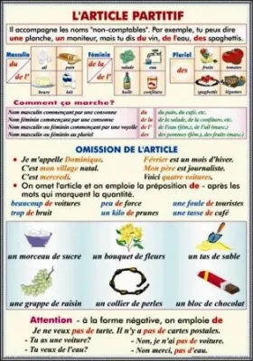 FEMENIN ET PLURIEL DES NOMS COMMUNS FORMATION DU FEMENIN FORMATION DU PLURIEL./L'ARTICLE PARTITIF