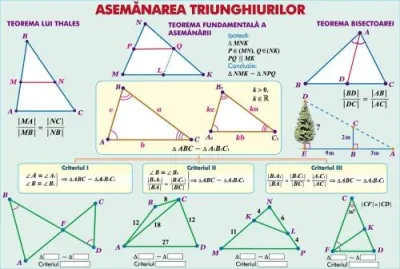 Inecuaţii cu o necunoscută/Asemănarea triunghiurilor (duo)