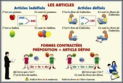 PLANSA LES ARTICLES FORMES CONTRACTEES PREPOSITION - ARTICLE DEFINI /ADJECTIFS ET PRONOMS DEMONSTRA