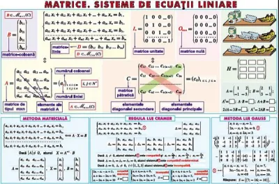 Matrice. Sisteme de ecuaţii liniare/ Sfera înscrisă în corpurile de rotaţie (duo)