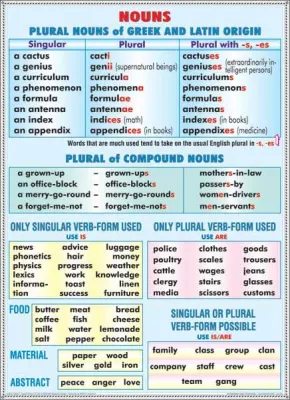 PLANSA NOUNS PLURAL NOUNS LATIN-GREEC ORIGIN/ RULES OF READING VOWELS 1 DUO