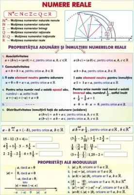 Numere reale/Funcţii (2) (duo)