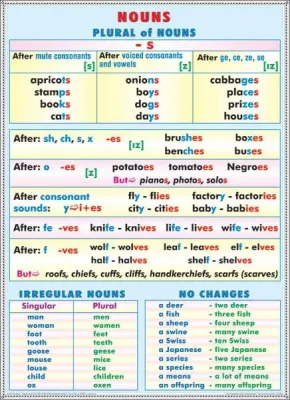 PLANSA PAST PERFECT PAST PERFECT PROGRESSIVE / NOUNS- PLURAL DUO