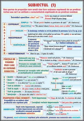 PLANSA SUBIECTUL (1) /CLASIFICAREA OPERELOR LITERARE (DUO)