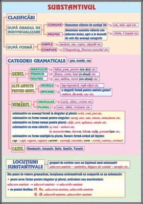 PLANSA SUBSTANTIVUL /CAZURILE SUBSTANTIVULUI (DUO)