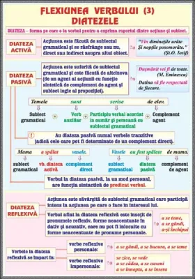 PLANSA VERBUL (3)FLEXIUNEA DIATEZELE/MIJLOACE INTERNE DE IMBOGATIRE A VOCABULARULUI (DUO)