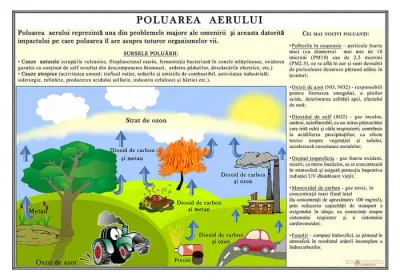 Poluarea  aerului (plansa, 1000x700 mm, cu sipci)