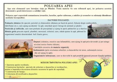 Poluarea apei (plansa, 1000x700 mm, cu sipci)