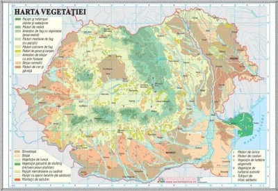 Romania. Harta vegetatiei (1000x700mm), fara sipci