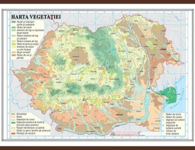 România. Harta vegetaţiei  (1000x700 mm)