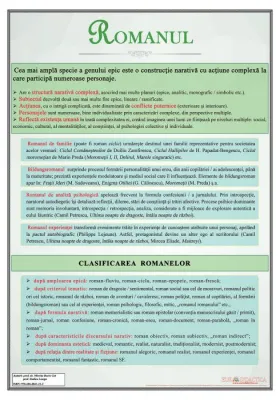Romanul. Clasificare (plansa, 700x1000mm)