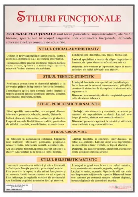 Stiluri functionale (plansa, 700x1000 mm, cu sipci)