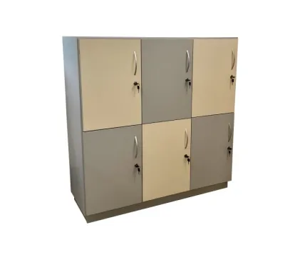 Dulapuri individuale pentru elevi (6 cusete)