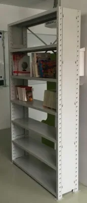 Raft metalic pentru biblioteca (1000x300xh2000mm)